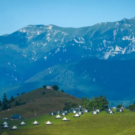 Ursa Mica Glamping Resort Sirnea